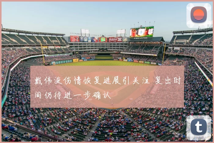 戴伟浚伤情恢复进展引关注 复出时间仍待进一步确认